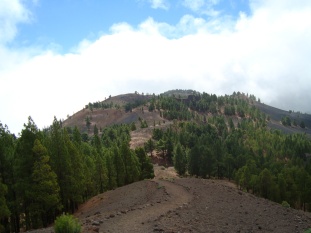 En medio del bastón de La Ruta de Los Volcanes. Con vistas a Las Desehadas
